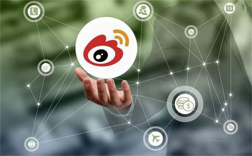發力垂直領域，微博廣告業務實現穩健復蘇
